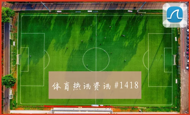 维萨2026世界杯大赛经验价值