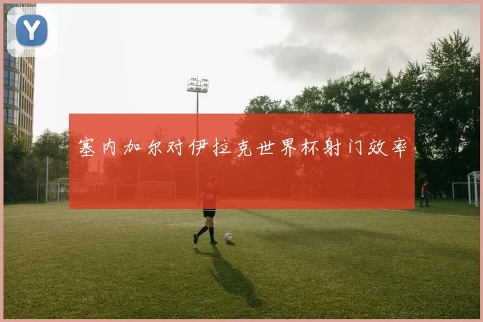 塞内加尔对伊拉克世界杯射门效率