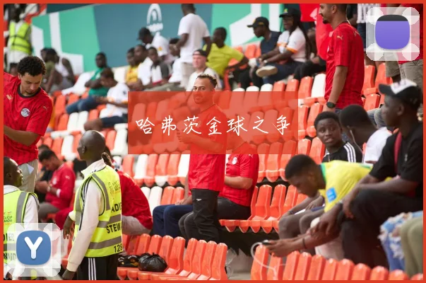 哈弗茨金球之争