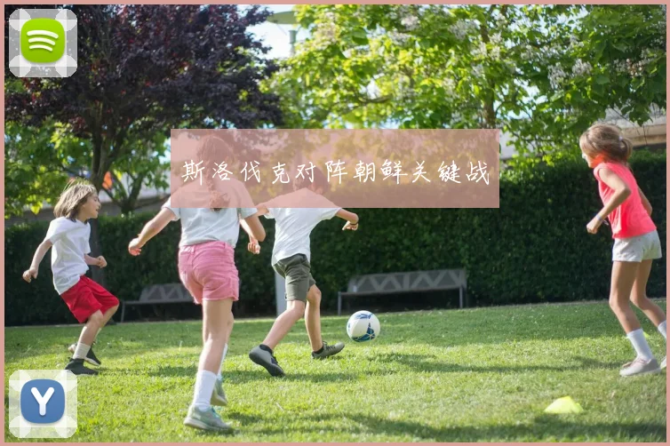 斯洛伐克对阵朝鲜关键战