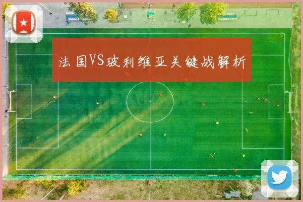 法国VS玻利维亚关键战解析