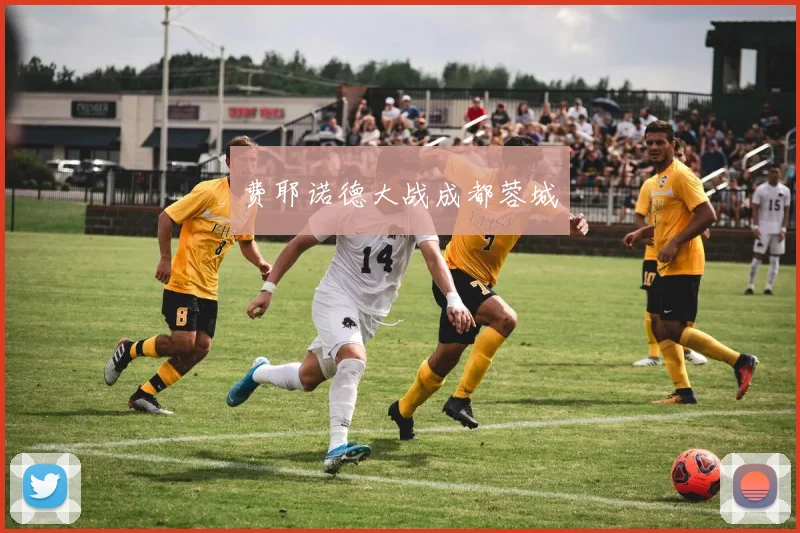 费耶诺德大战成都蓉城