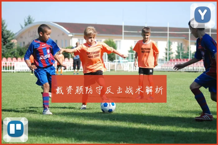 戴资颖防守反击战术解析
