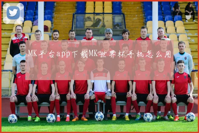 MK平台app下载MK世界杯手机怎么用