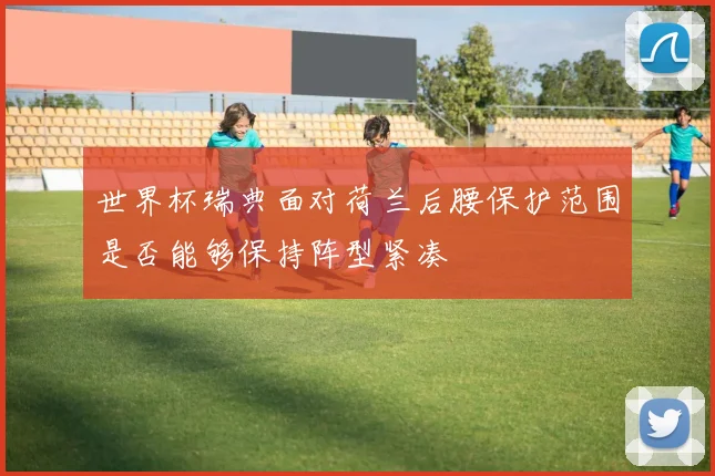 世界杯瑞典面对荷兰后腰保护范围是否能够保持阵型紧凑